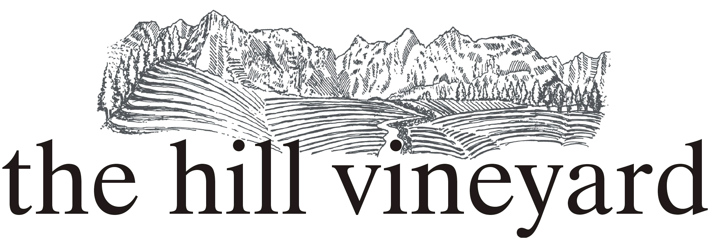 The Hill Vineyard